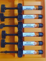 Composan ceram (seringue 4g)