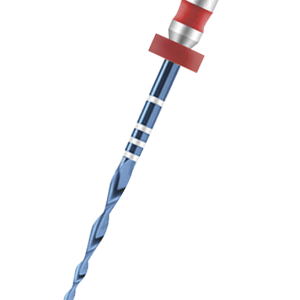 RECIP-ONE FILES BLEU / GRIS